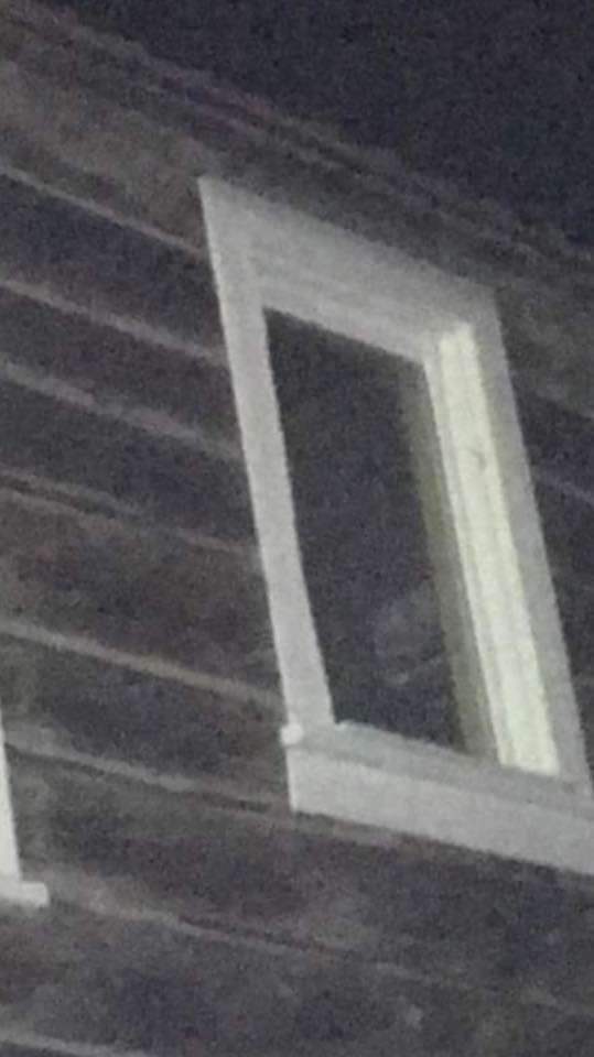 Someone in the window